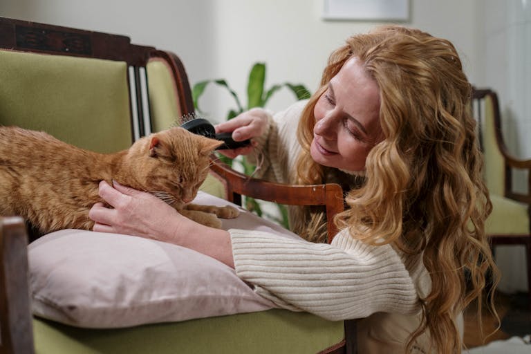 Smiling woman brushing a relaxed ginger cat on an armchair indoors, creating a cozy scene.